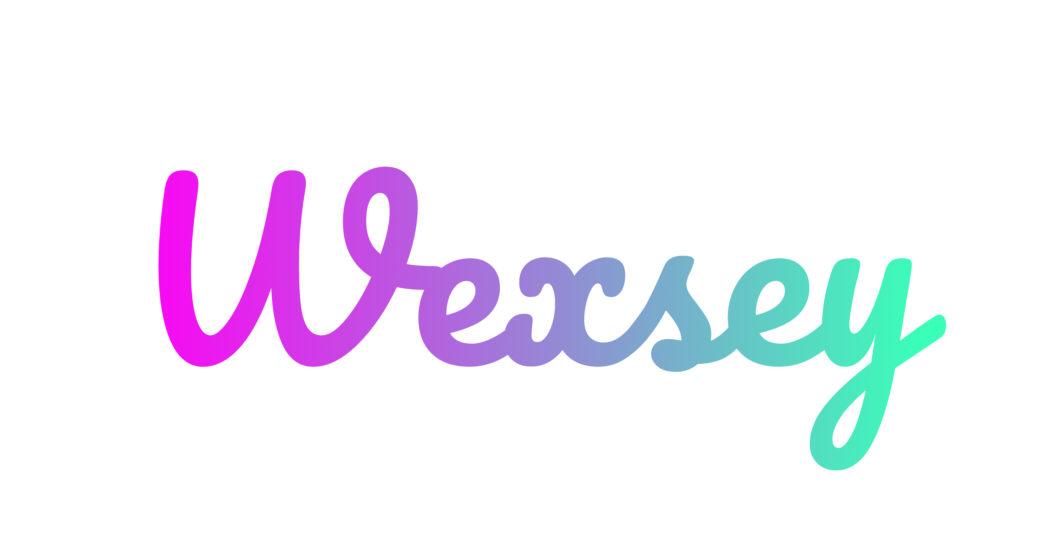 Wexsey Logo